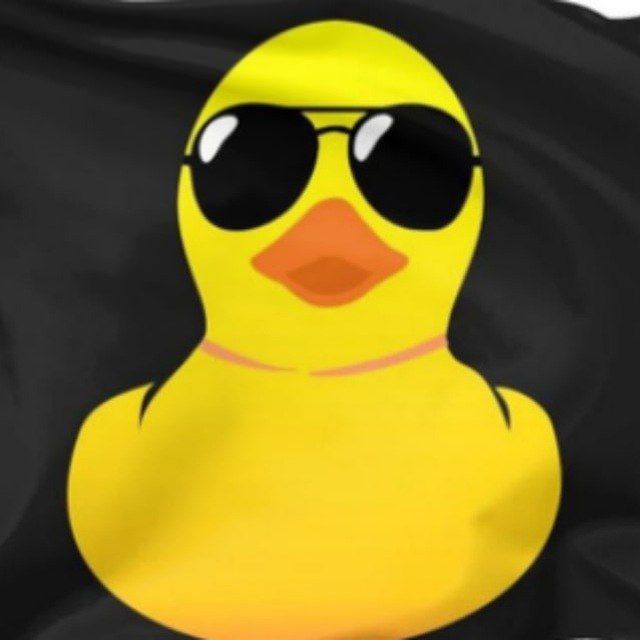 Meu Pato Cursos 🇧🇷